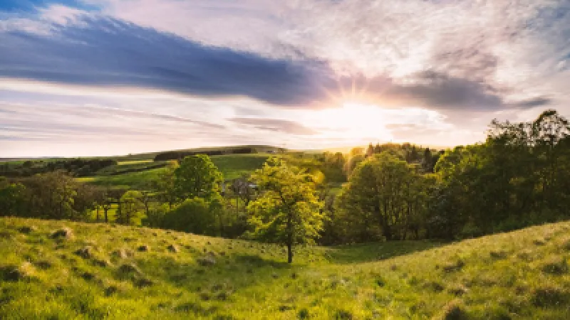 Wildlife Trusts-ը գնել է Նորթամբերլենդի Ռոթբերի կալվածքը