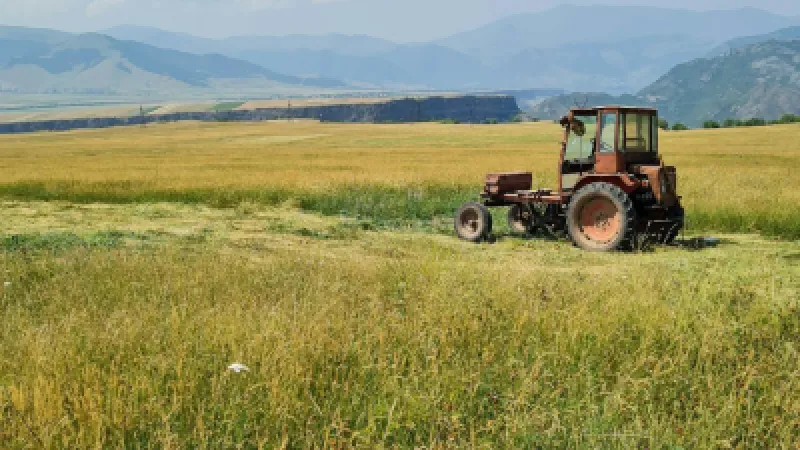 Հայաստանում գյուղատնտեսական արտադրանքը նվազել է 4.8%-ով