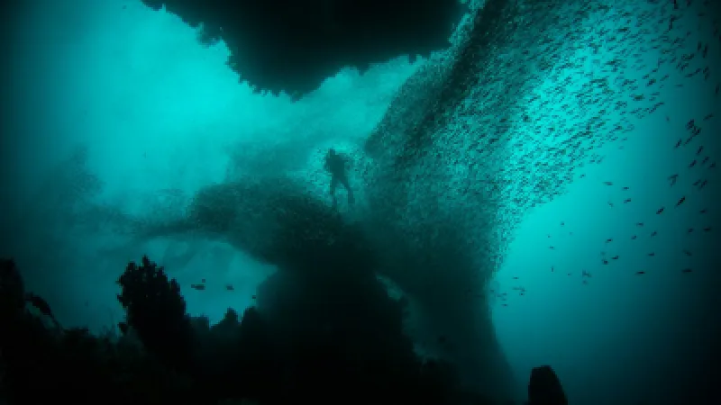 Blue Planet III-ը կցուցադրի ավելի մշուշոտ կադրեր
