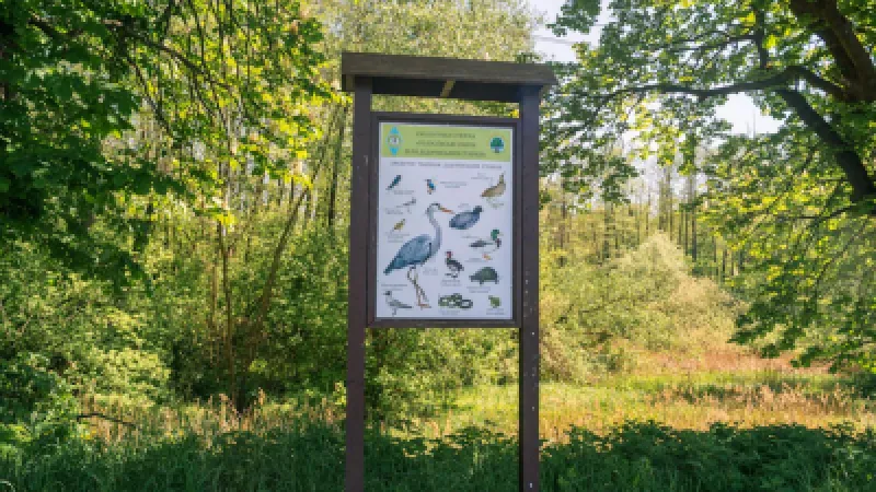 Herts & Middlesex Wildlife Trust-ն ամփոփել է անտառների նախագիծը