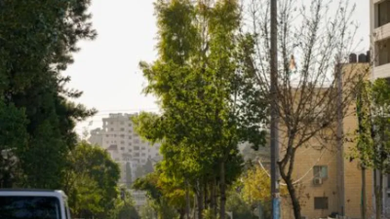 Մայք Հաքաբին դատապարտել է լուսանկարիչ Հեյդի Լևինի վրա հարձակումը